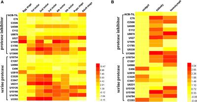 A TIL-Type Serine Protease Inhibitor Involved in Humoral Immune Response of Asian Corn Borer Ostrinia furnaculis